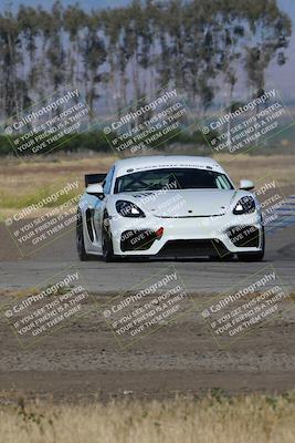 media/May-03-2024-PCA Central Coast (Fri) [[eaa7da0ee1]]/Red Group/Session 1 (Grapevine)/